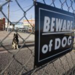 Understanding Owner Negligence With Dog Bites